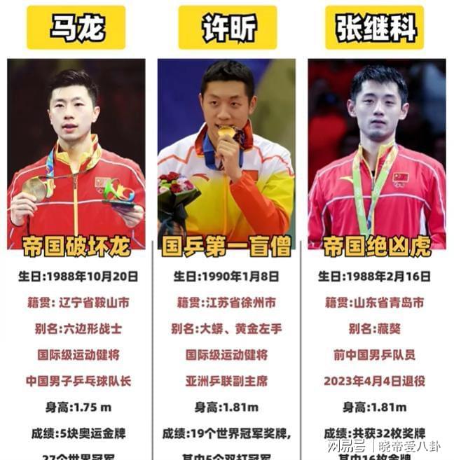 德国队鏖战中国队，张继科高光表现