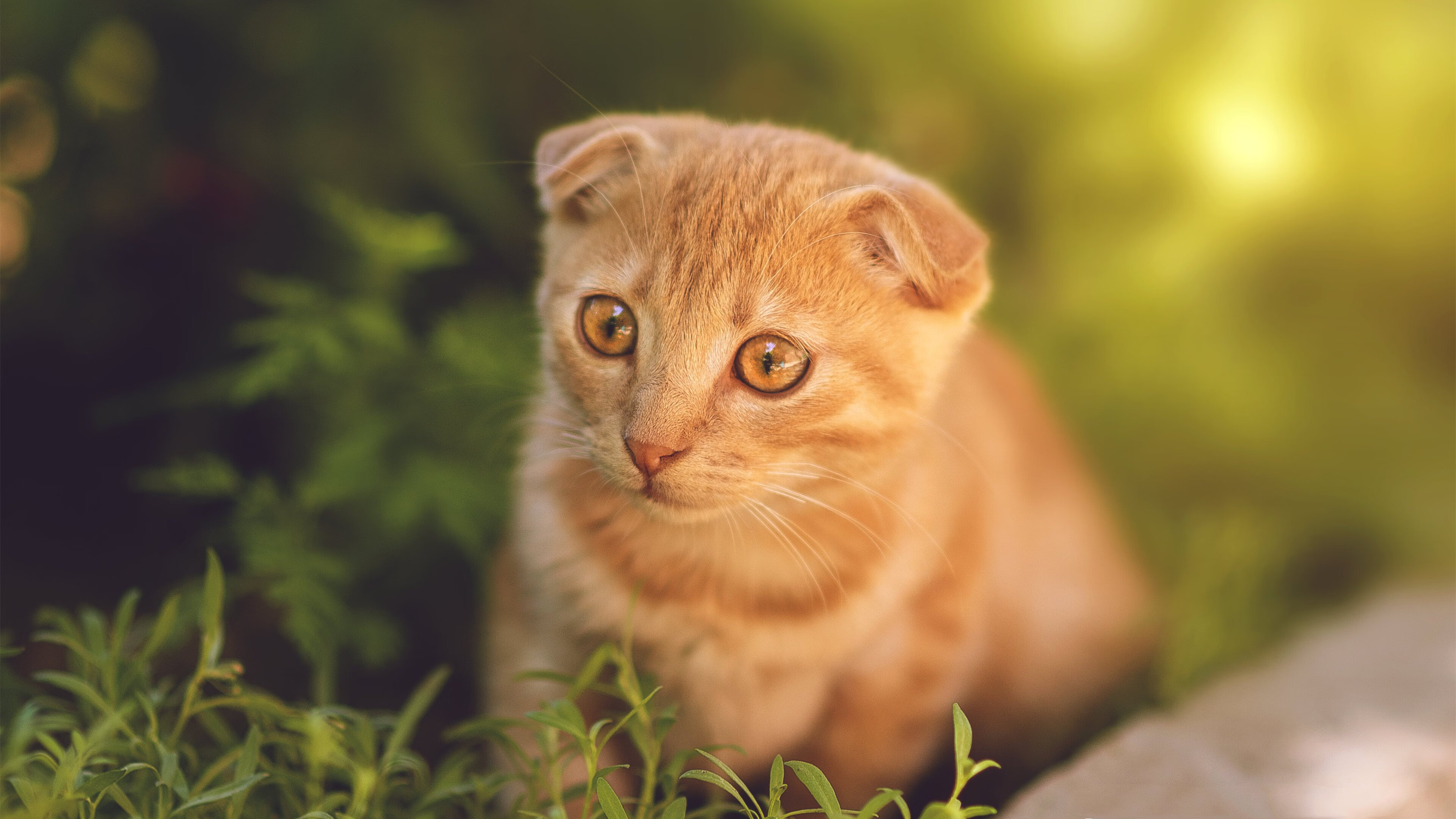 英超争冠之夜，劳塔罗隔空支配，赛后评分拉满的蝴蝶效应
