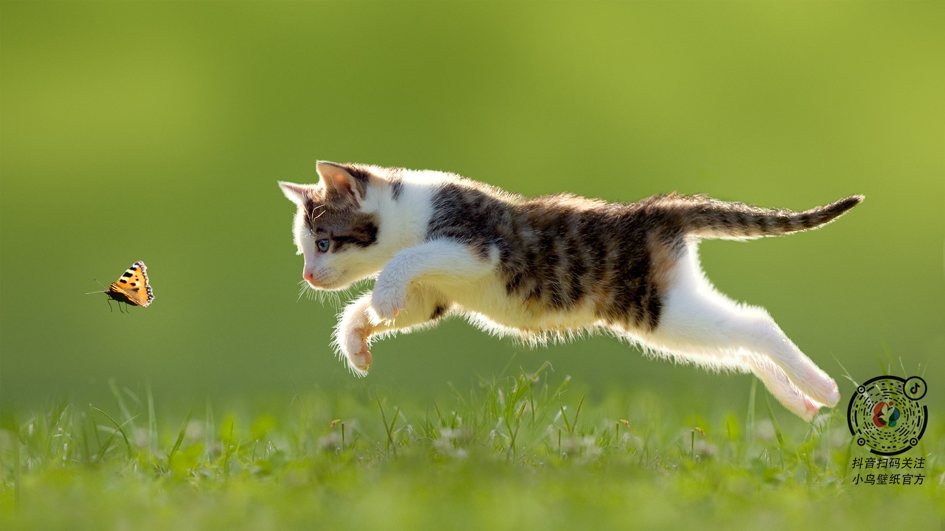 篮网打穿活塞，保罗接管F1争冠，胜利背后的精确绞杀与全局掌控