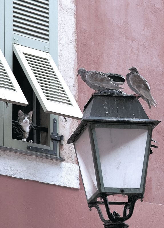 命运时钟的最后五分钟,英格拉姆撕裂辽宁防线的寂静风暴