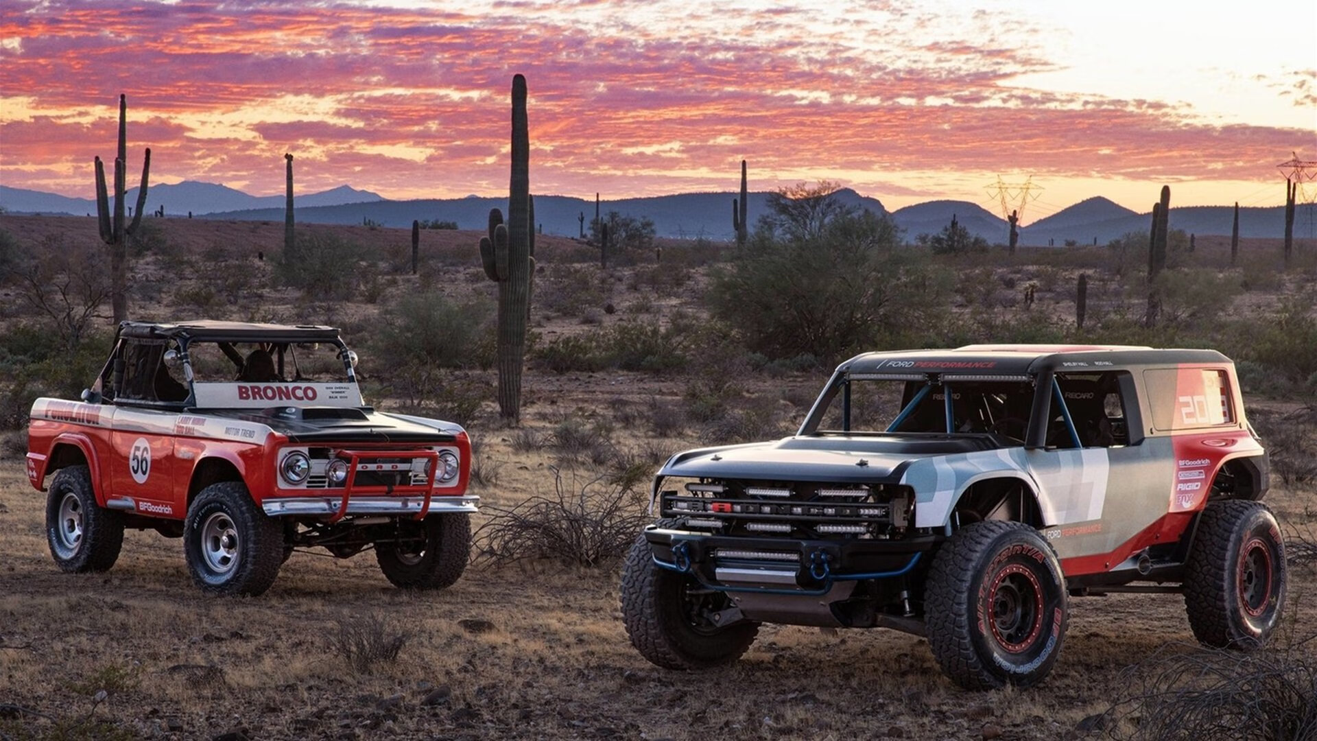 时空裂隙,当库里身披绿衫拯救宿敌