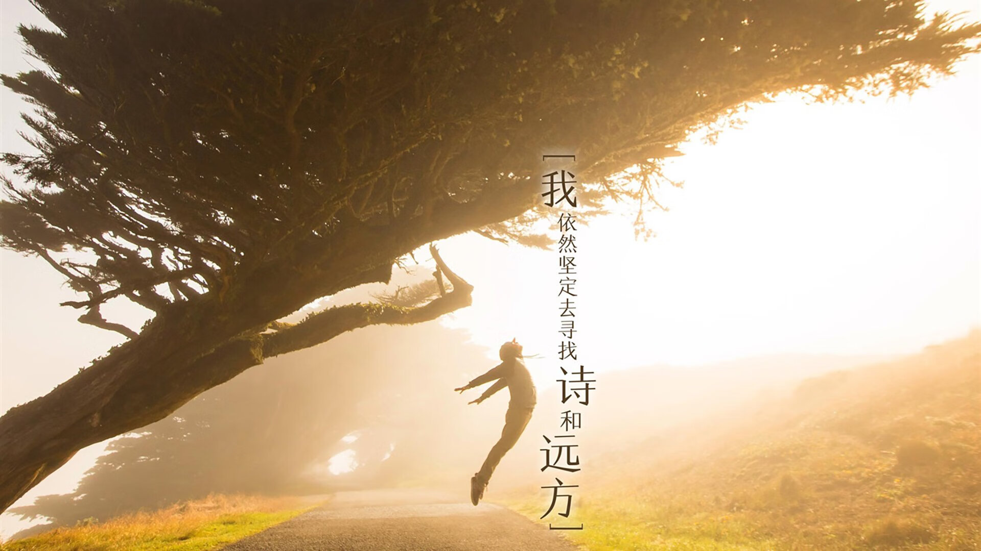 阿拉巴化身球场第六国,巴黎圣日耳曼一场内战击溃法国足球的幻觉
