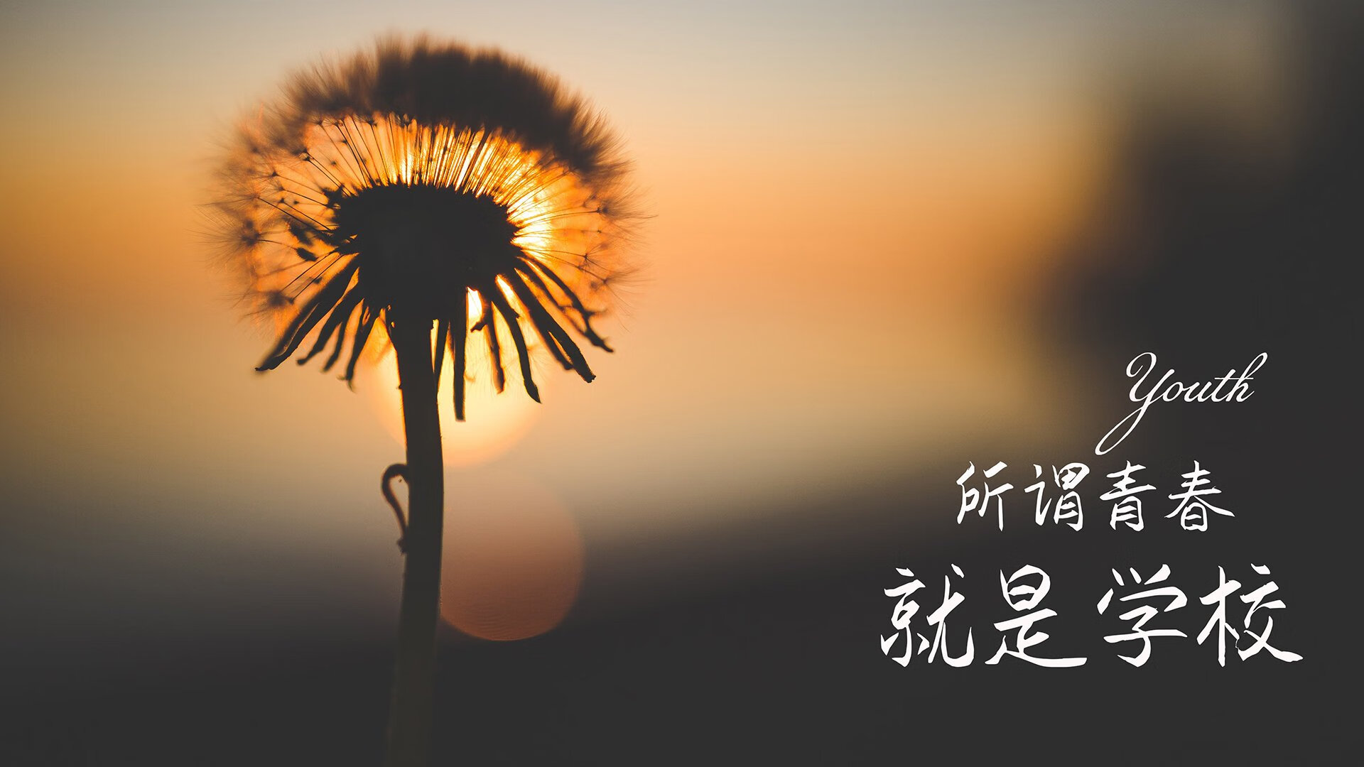太极虎的咆哮,当全场压制成为唯一的答案—2026世界杯H组韩国大胜意大利,德容完成致命一击
