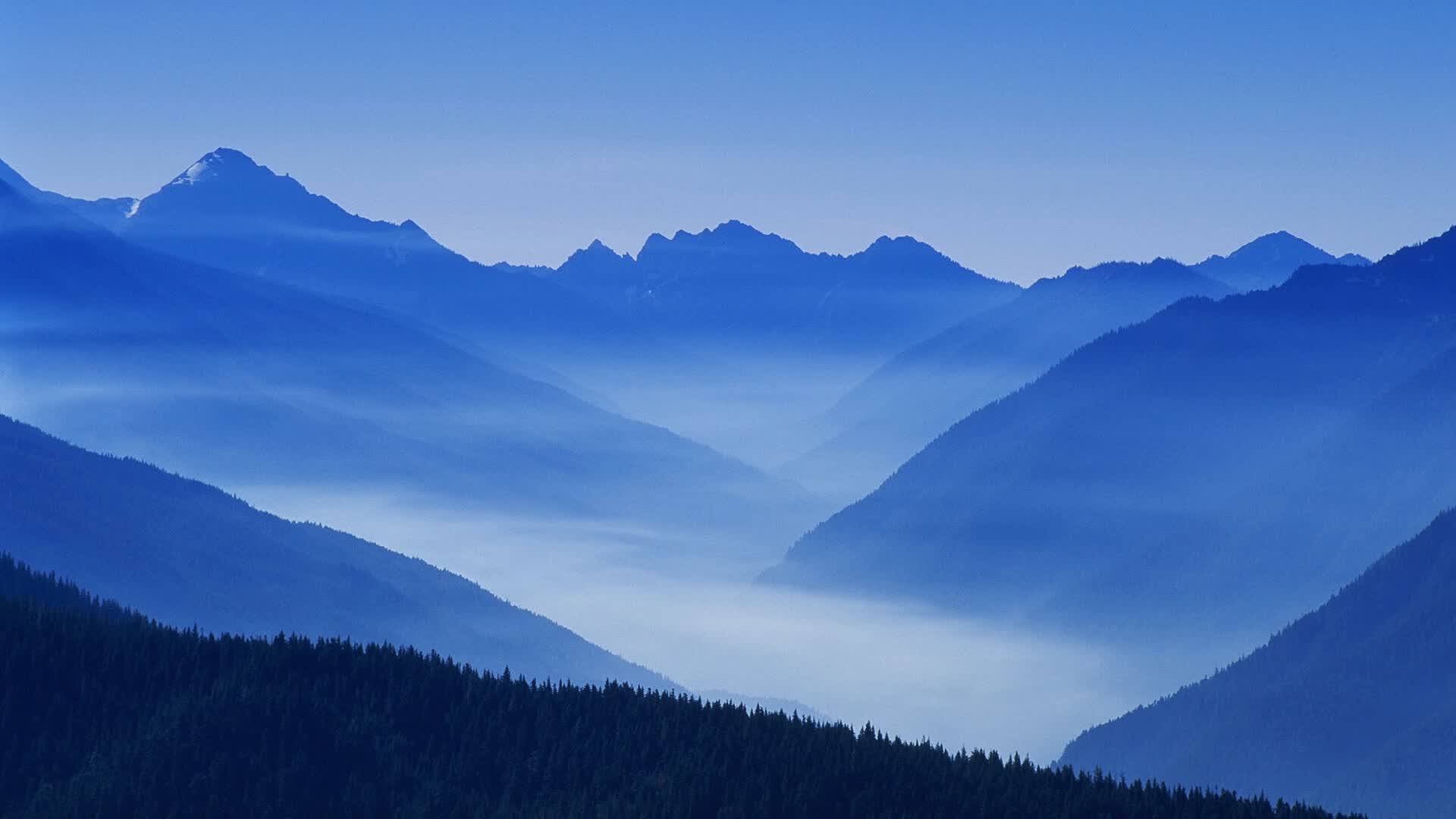夕阳红不落,2026世界杯A组焦点战,德布劳内以惊世一传一射,引领墨西哥险胜龙象印度